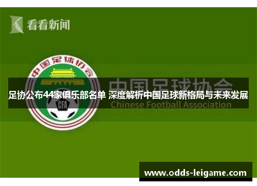 足协公布44家俱乐部名单 深度解析中国足球新格局与未来发展